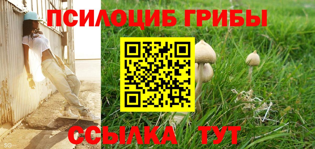 Воронеж  Псилоцибиновые грибы MAGIC MUSHROOMS  Вход с VPN 